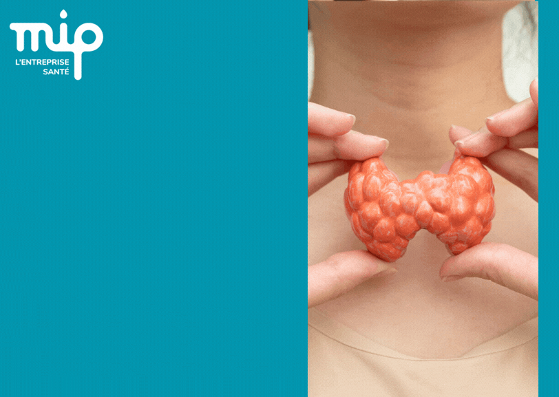 Six idées reçues sur la thyroïde
